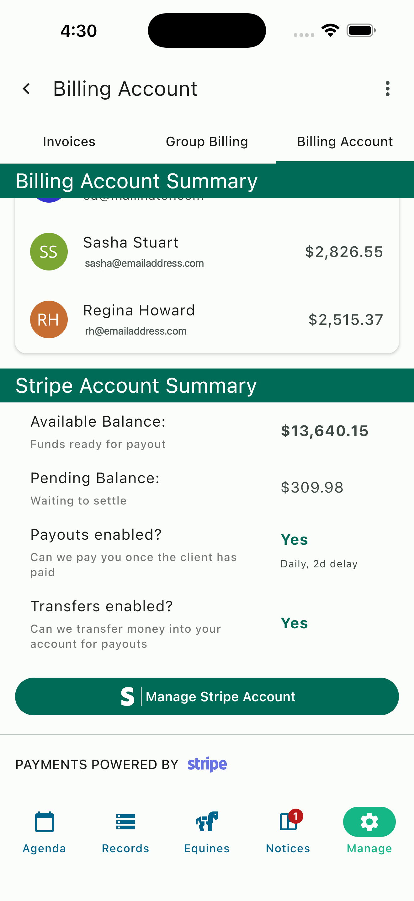 Stripe payment integration with payout settings in HayNet